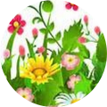 Colette Maass Colette Maass